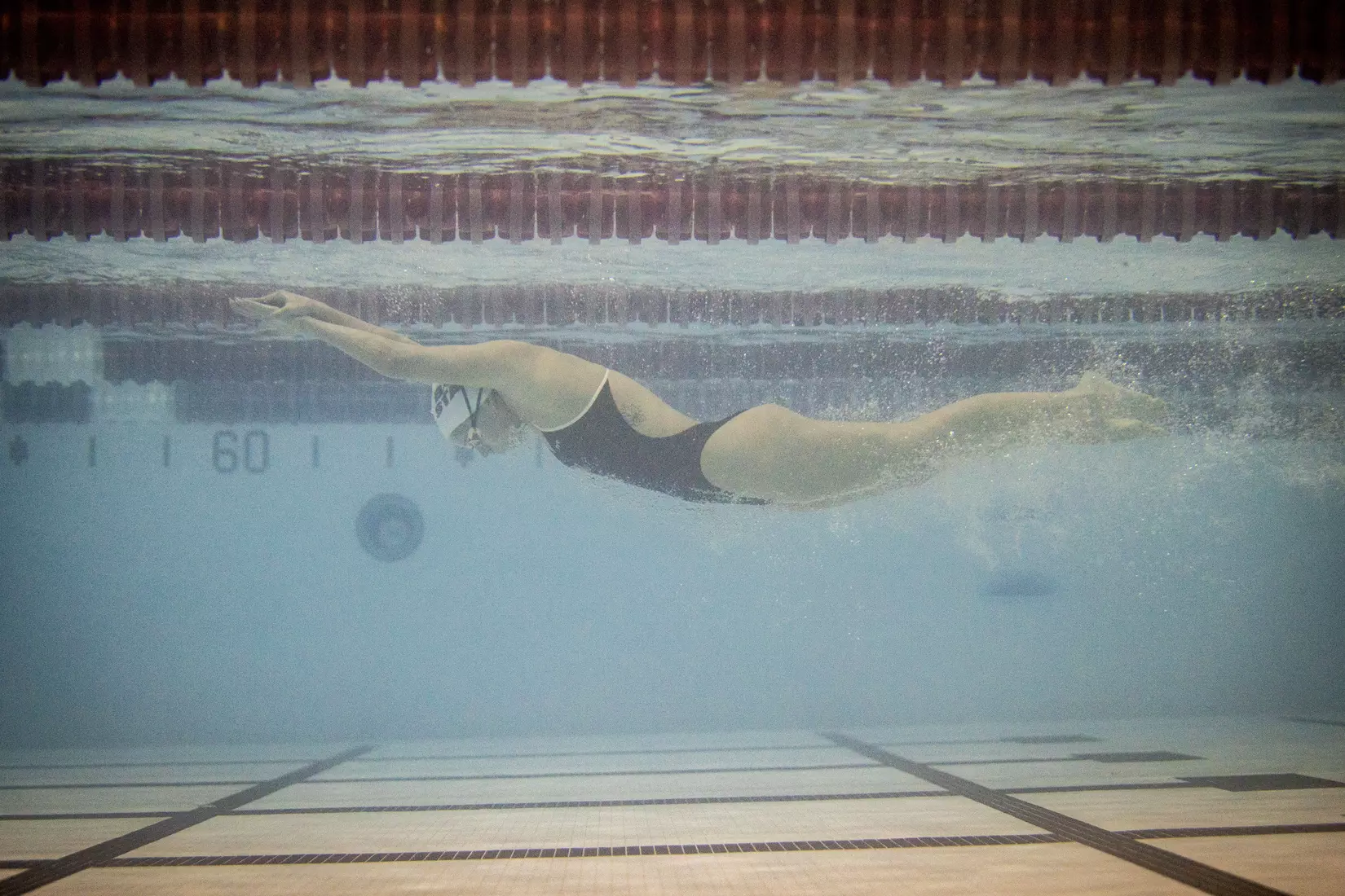 Women's swimming and diving vs Buffalo, Senior Day.