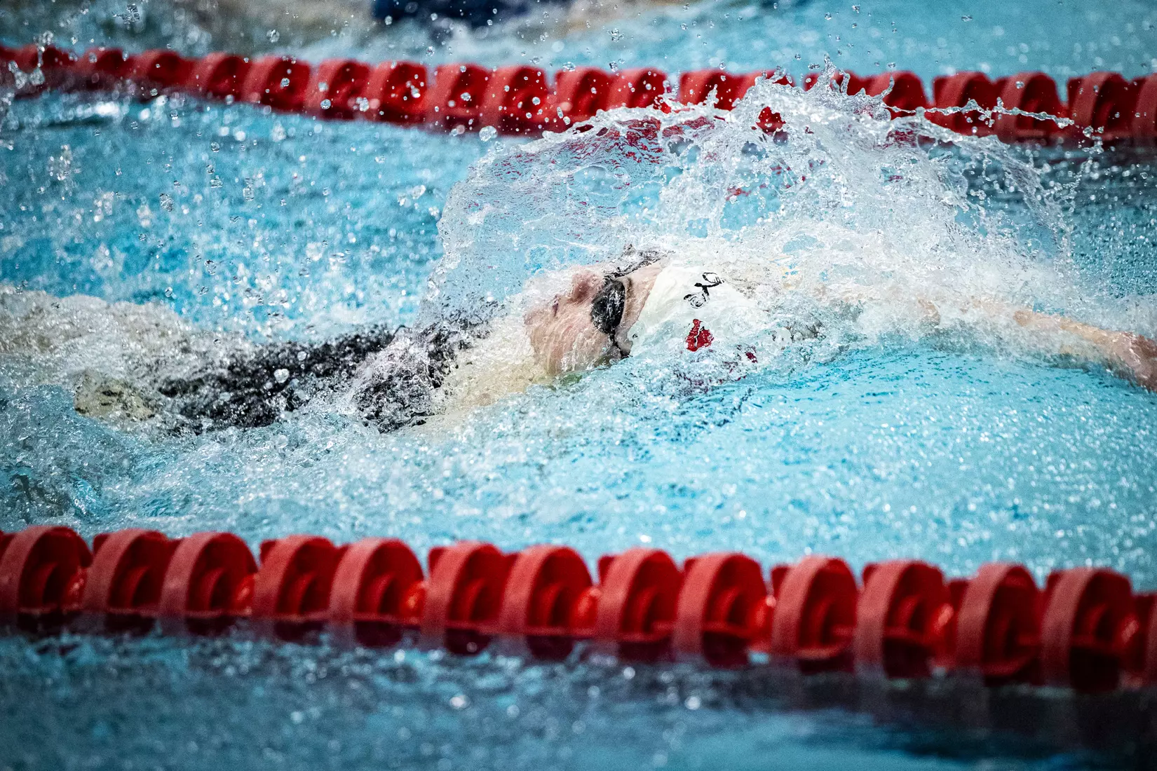 Women's swimming and diving vs Buffalo, Senior Day.