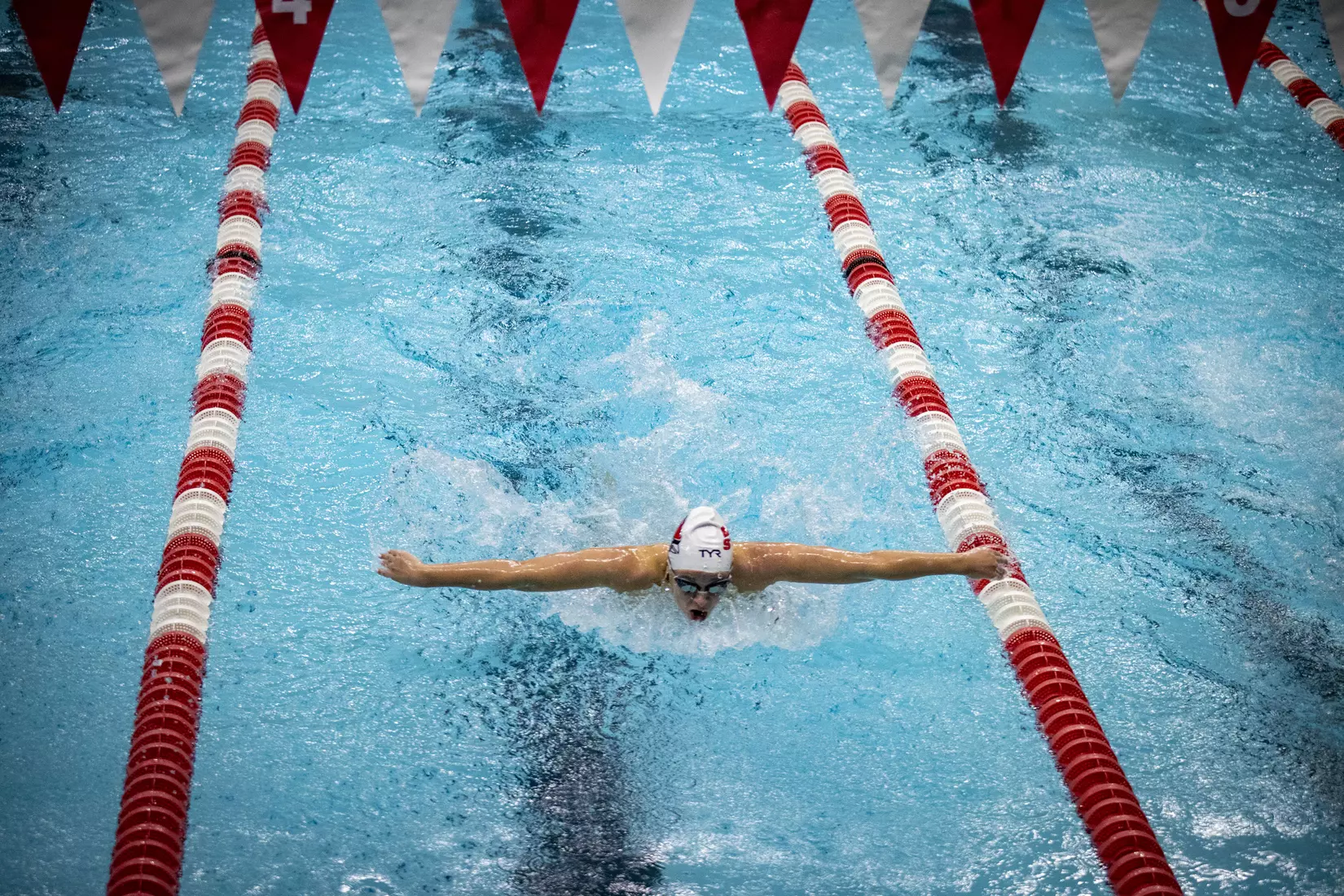 Women's swimming and diving vs Buffalo, Senior Day.