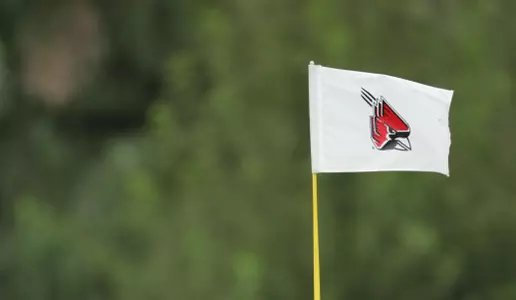 Six Men's Golfers Finish Near Top at State Am