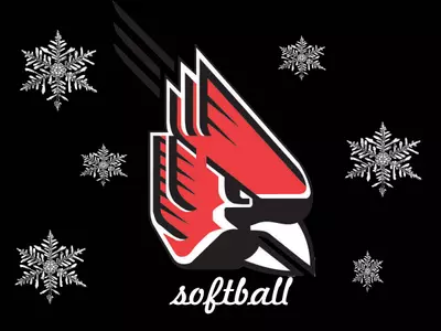Softball Games Cancelled By Snow Covered Field