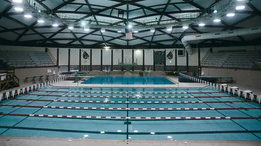 Swimming & Diving Teams Earn Team Award