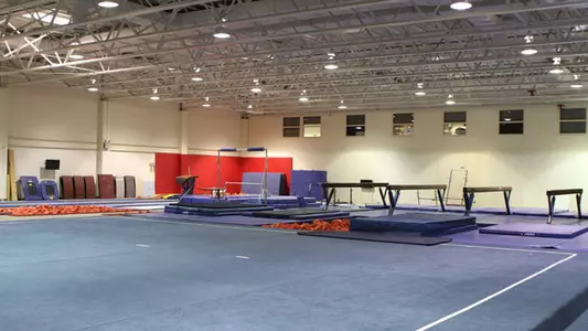 Gymnastics Offering Fall Classes for Ages 4 and Up