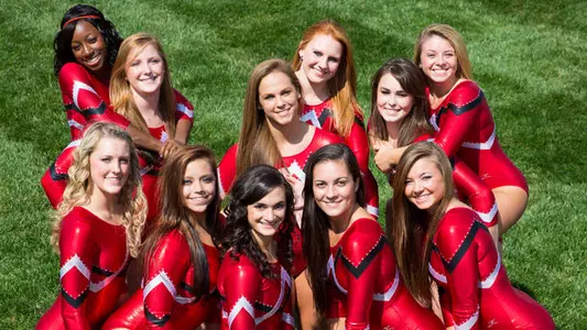 Gymnastics Team Competes at Iowa Friday