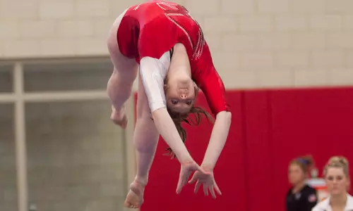 Gymnastics Hosting Red vs. White Exhibition Sunday