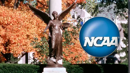 WVB, XC Teams Earn NCAA Public Recognition Awards