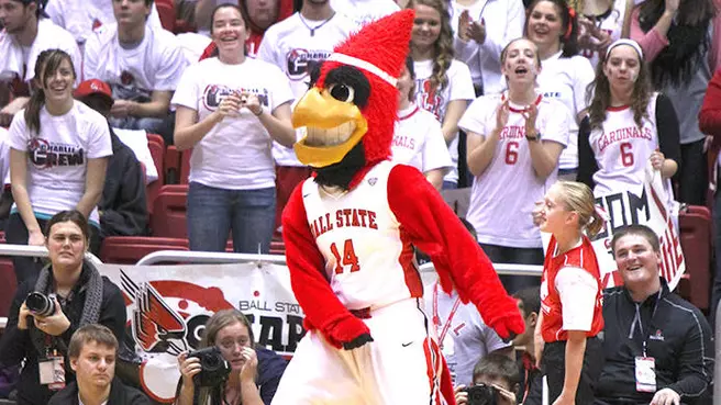 Cardinal Recap Now Available in App, PDF Formats