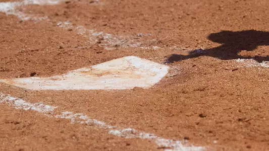 Eight Softball Players Earn NFCA Academic Honors
