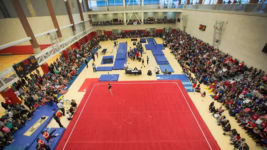 Gymnasts Honored For Academic Excellence