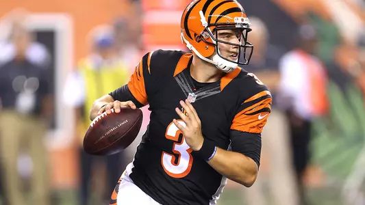 Former Football Cardinals Making Their Mark in the NFL