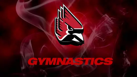 Gymnastics Opens Season With Loss At No. 24 Kentucky