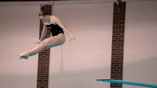 Diver