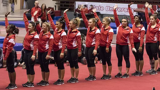 Gymnastics to Host Fall Classes