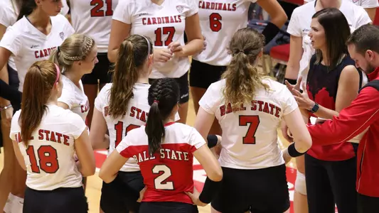 WVB Team