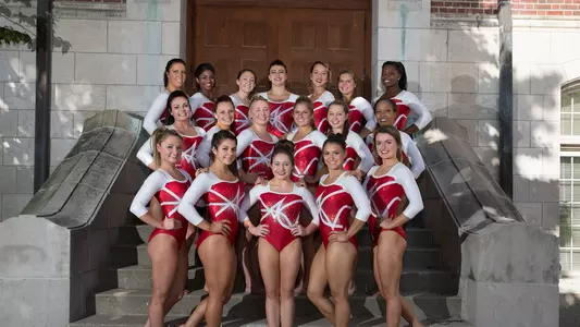 2017 Gymnastics Team