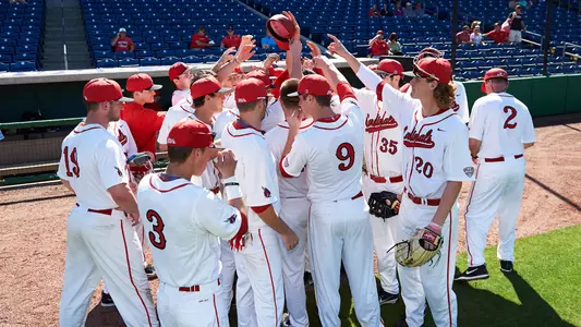 Baseball Team Huddle