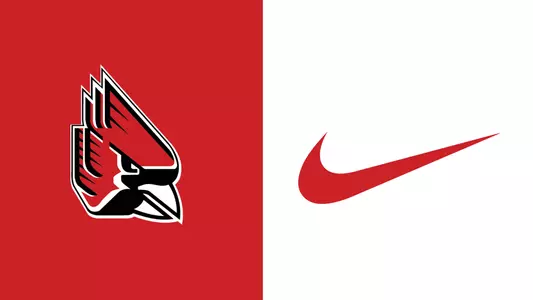 Nike 2017