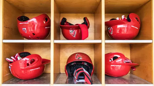 Batting Helmets