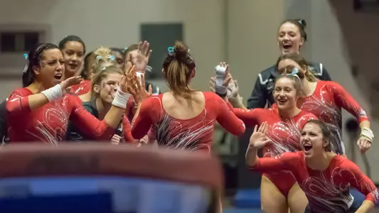 team vault