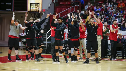 MVB Bench