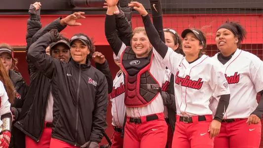 Softball Home Run Cheer