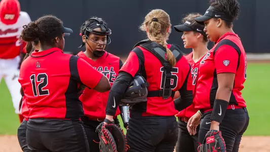 Softball Team Huddle