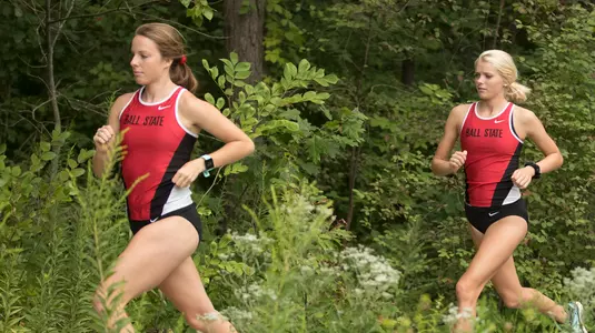 Kneadler and Tarsa Running