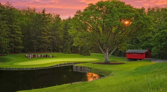 Crooked Stick