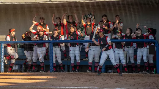 Softball Dugout