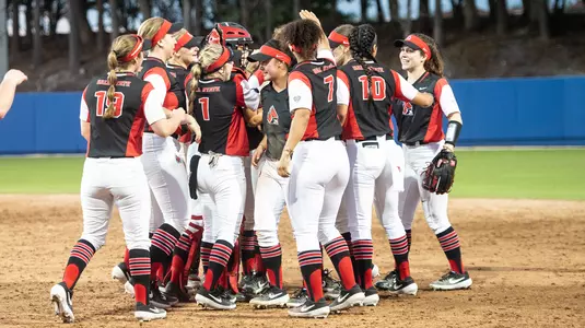 Softball Team
