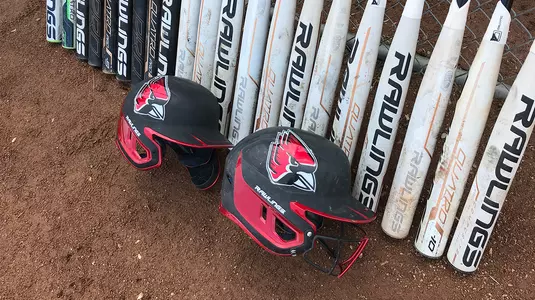 Helmets and Bats
