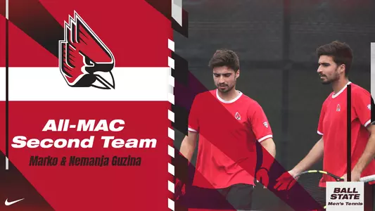 Marko and Nemanja Guzina