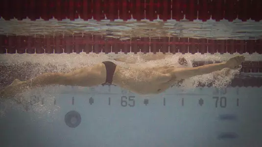 Men's Swimming