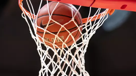 Basketball net shot