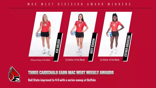 WVB MAC Award Winners