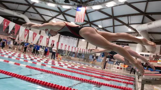 Phoebe Rensink Start