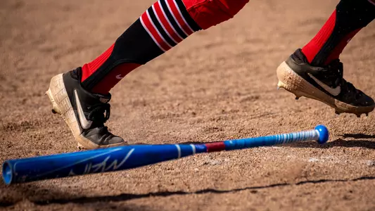 Softball Bat
