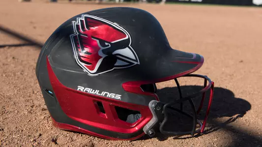 2019 Softball Helmet