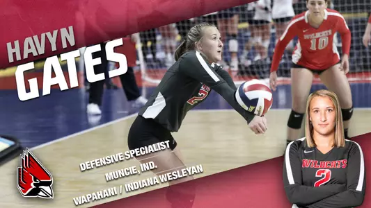 Havyn Gates - WVB Transfer Graphic