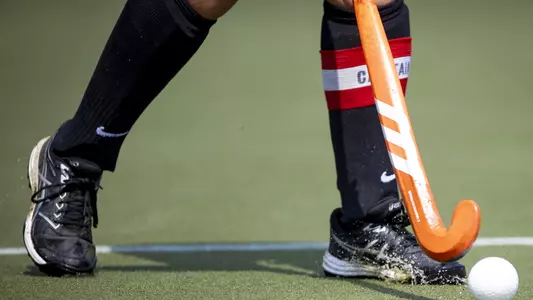 Field Hockey Stick