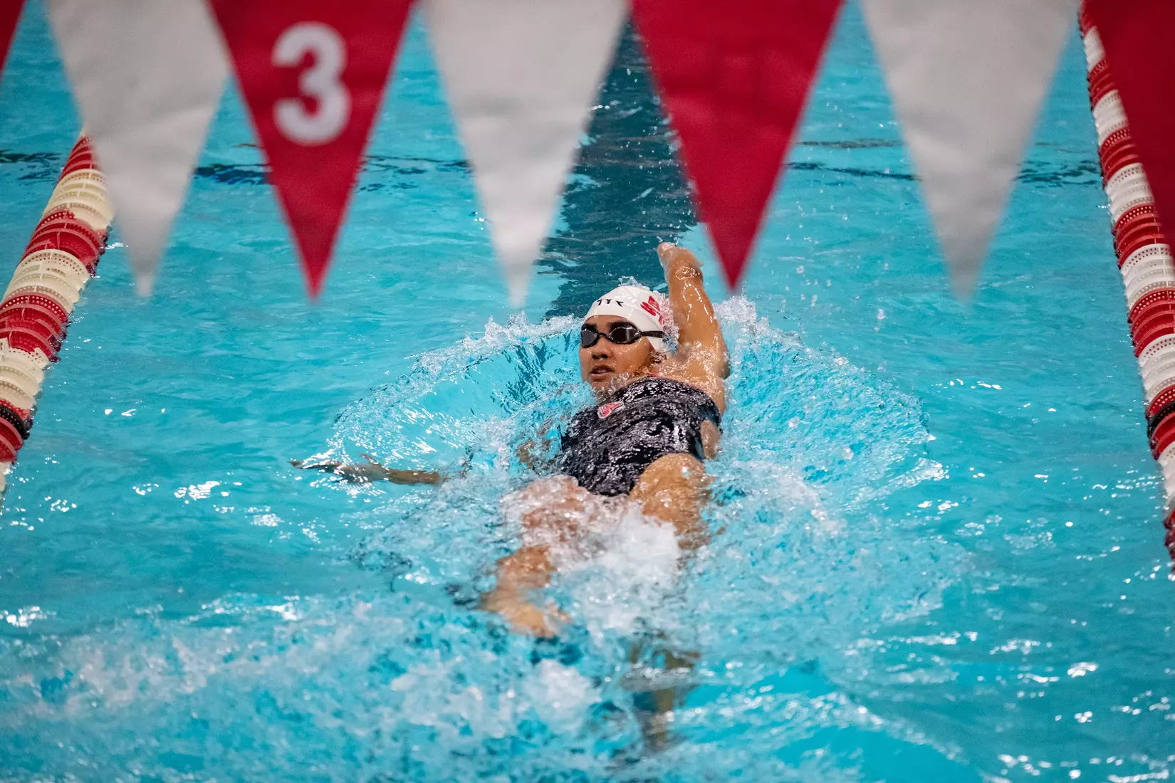MC-41543-Men’s and Women’s Swimming and Diving