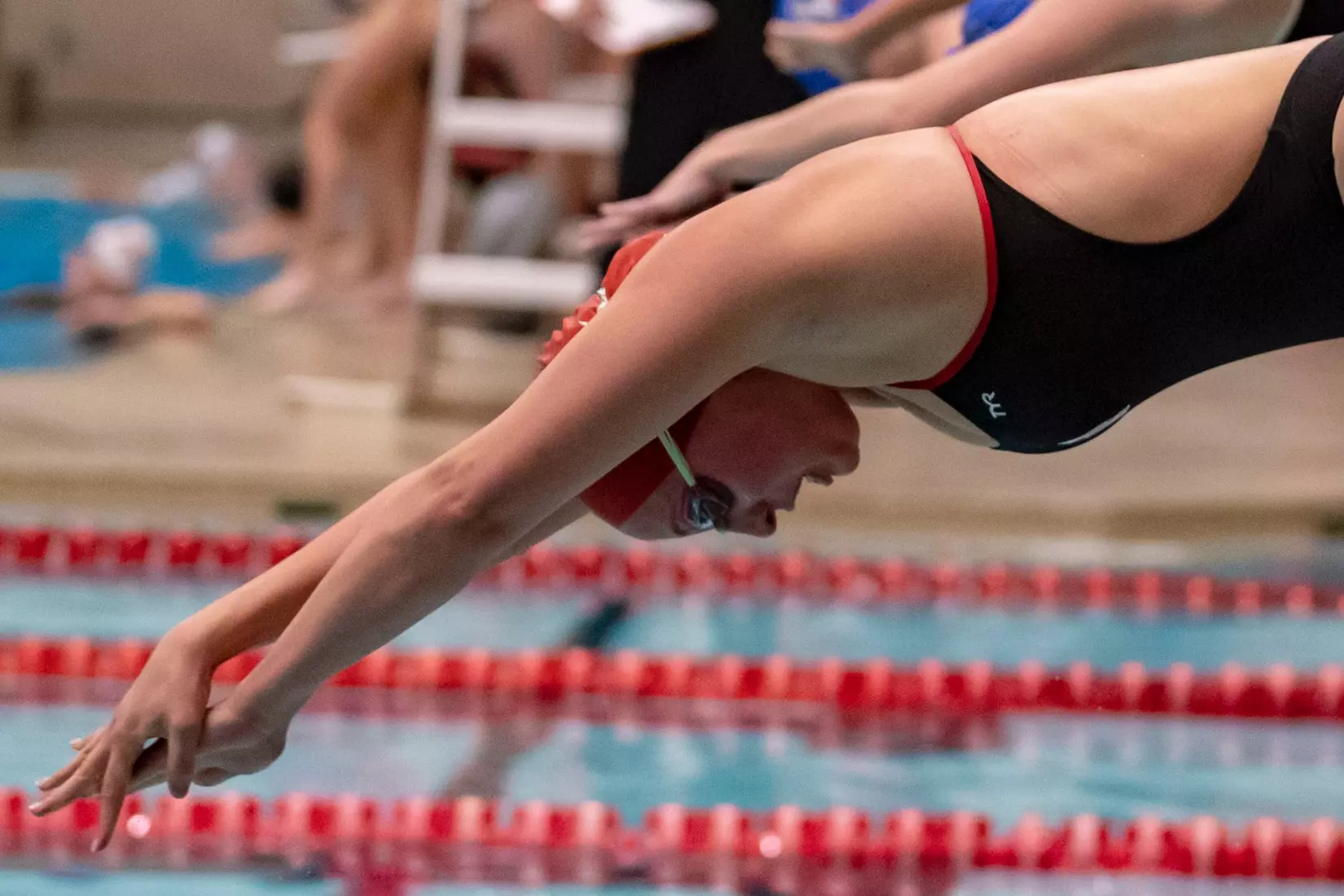MC-41543-Men’s and Women’s Swimming and Diving