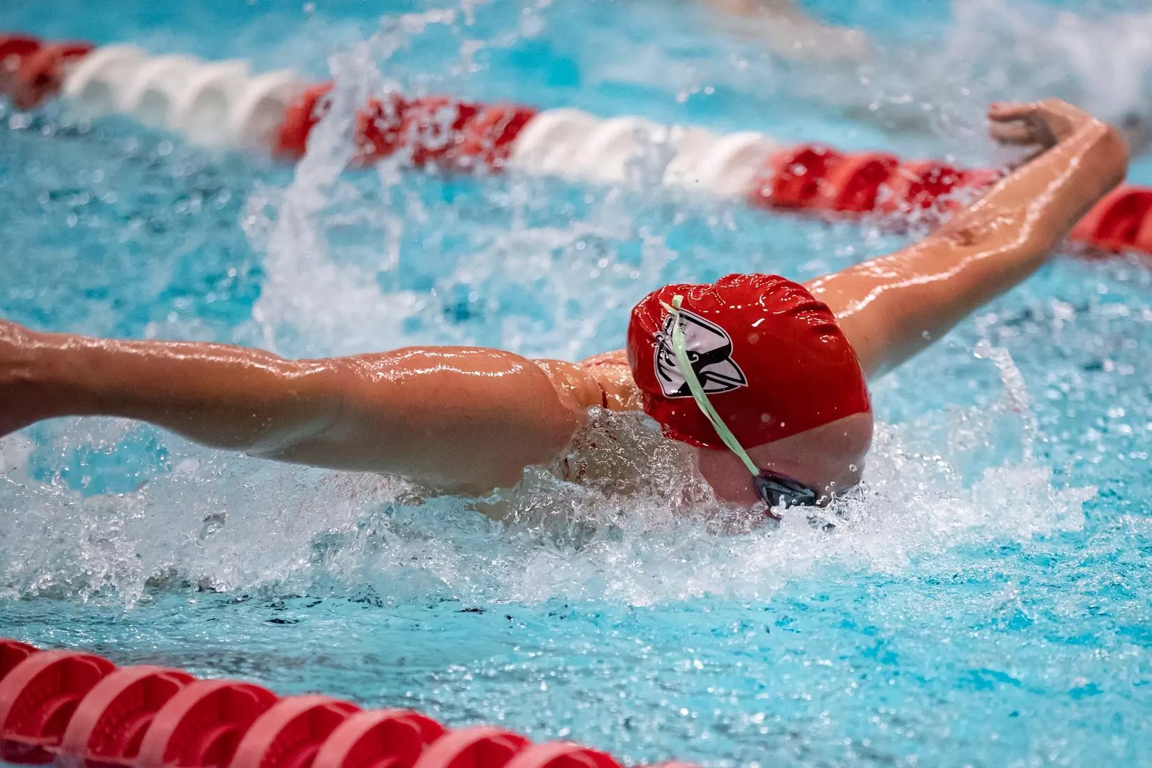 MC-41543-Men’s and Women’s Swimming and Diving