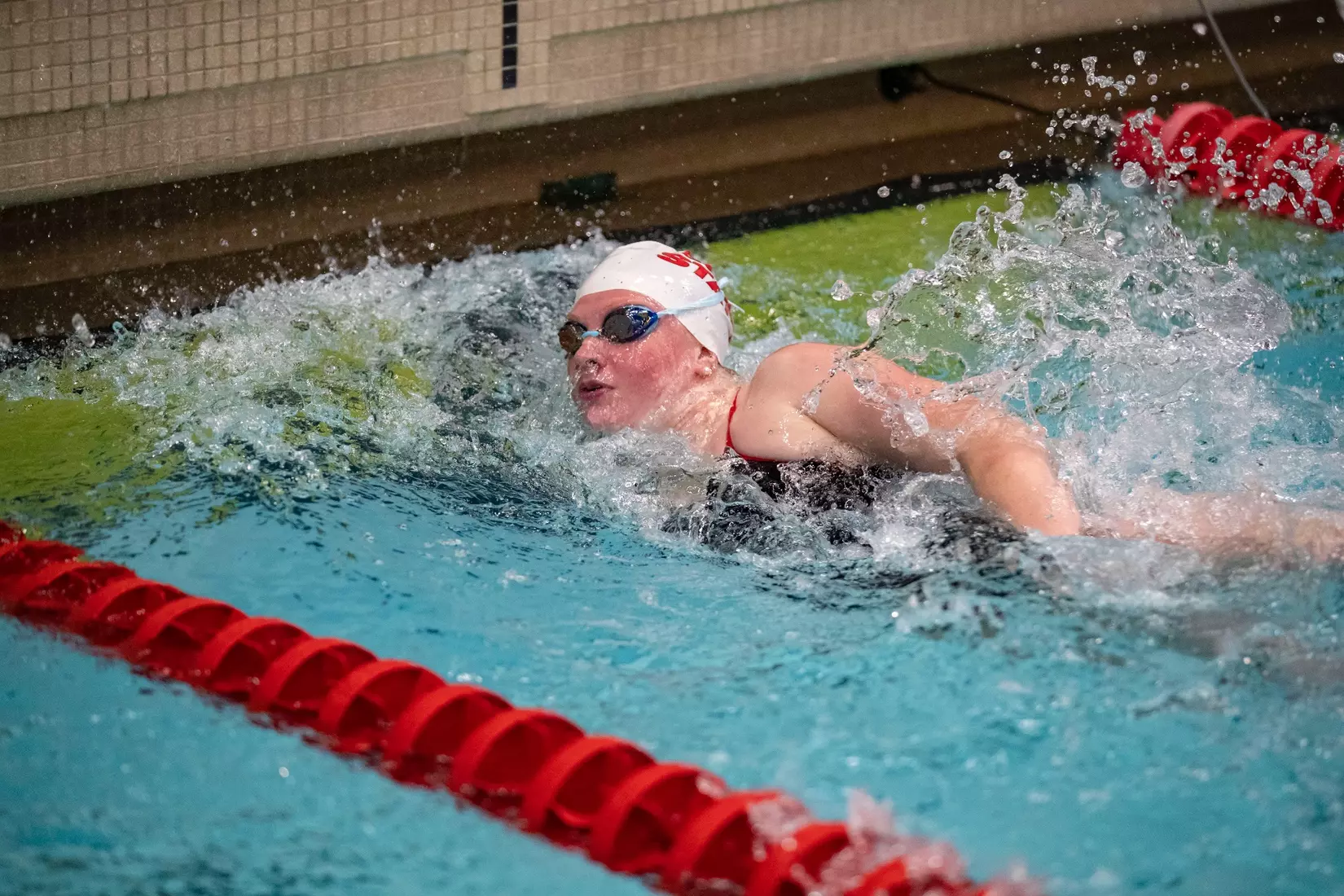MC-41543-Men’s and Women’s Swimming and Diving