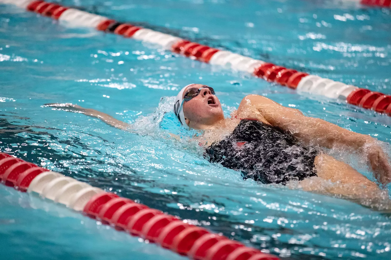 MC-41543-Men’s and Women’s Swimming and Diving