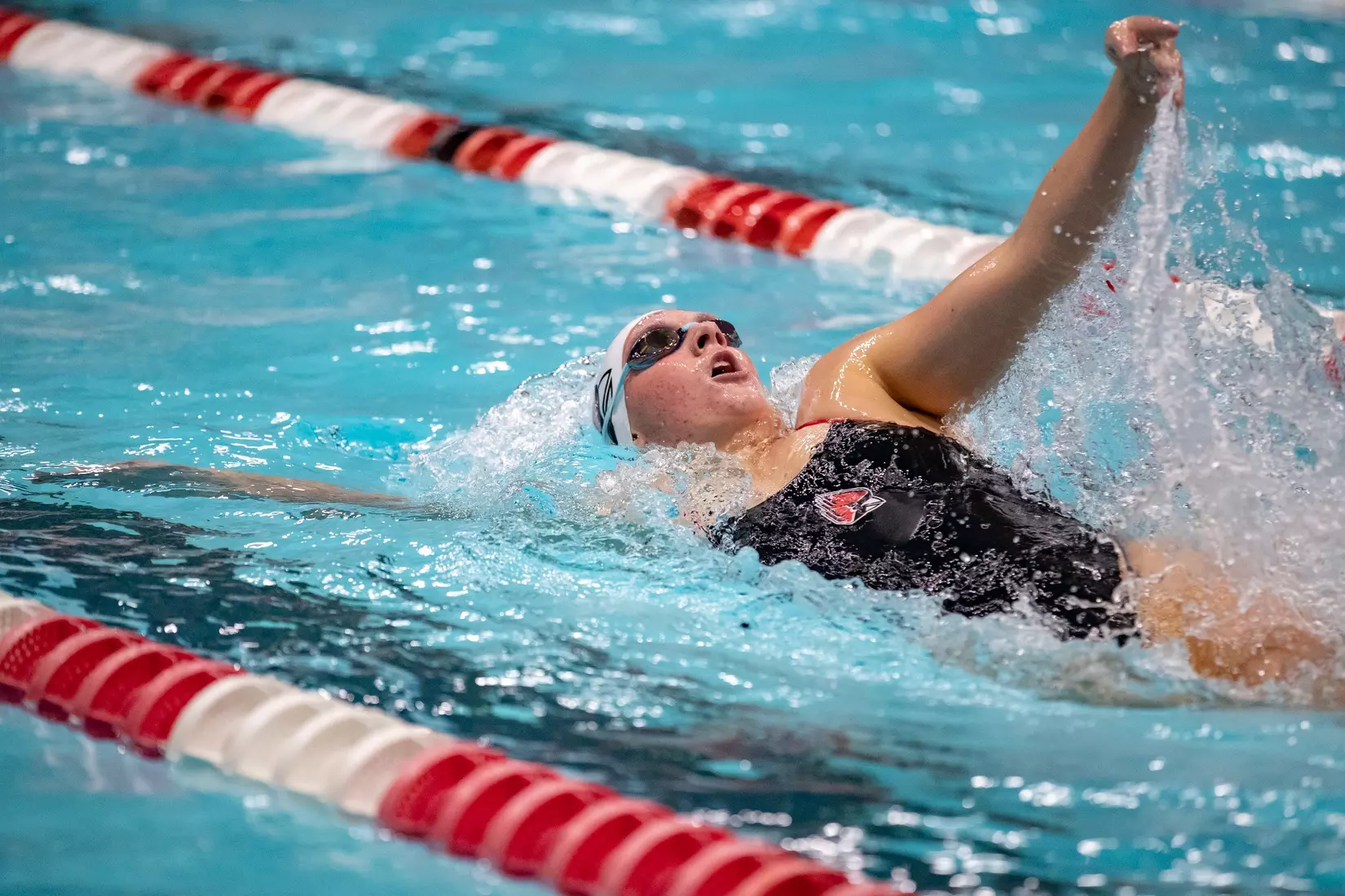 MC-41543-Men’s and Women’s Swimming and Diving