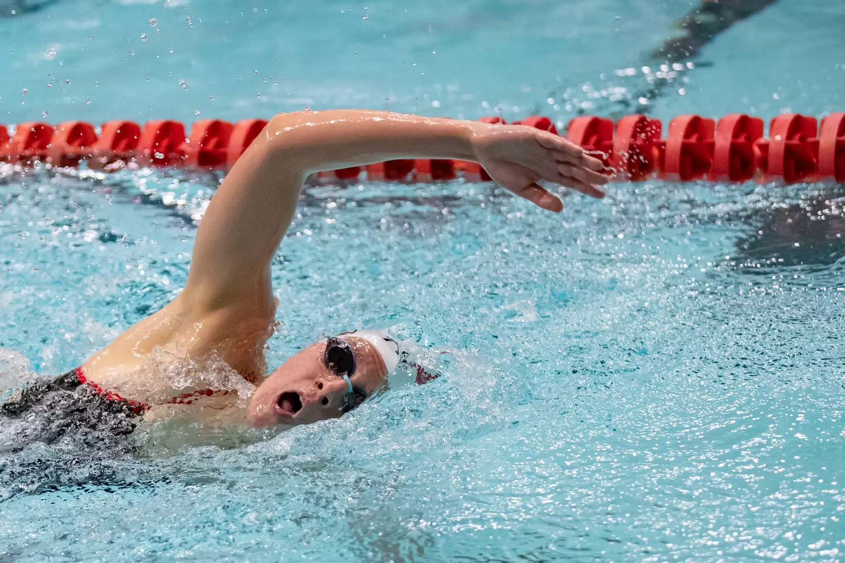 MC-41543-Men’s and Women’s Swimming and Diving