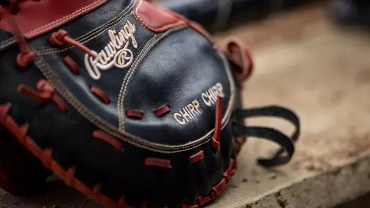 Softball Glove