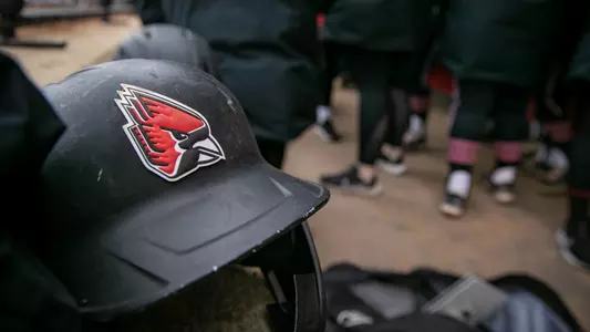 Softball Helmet