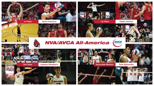 AVCA All Americans